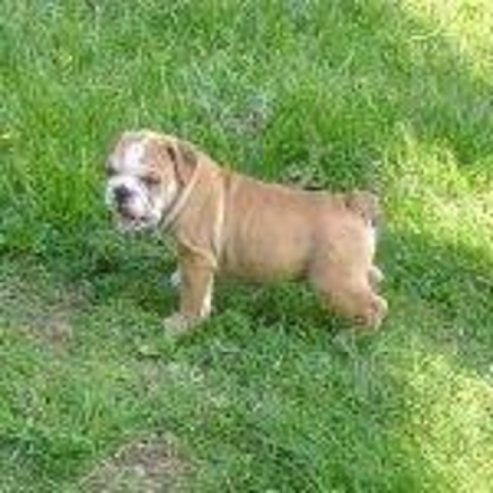 Meet your Posher, Carl